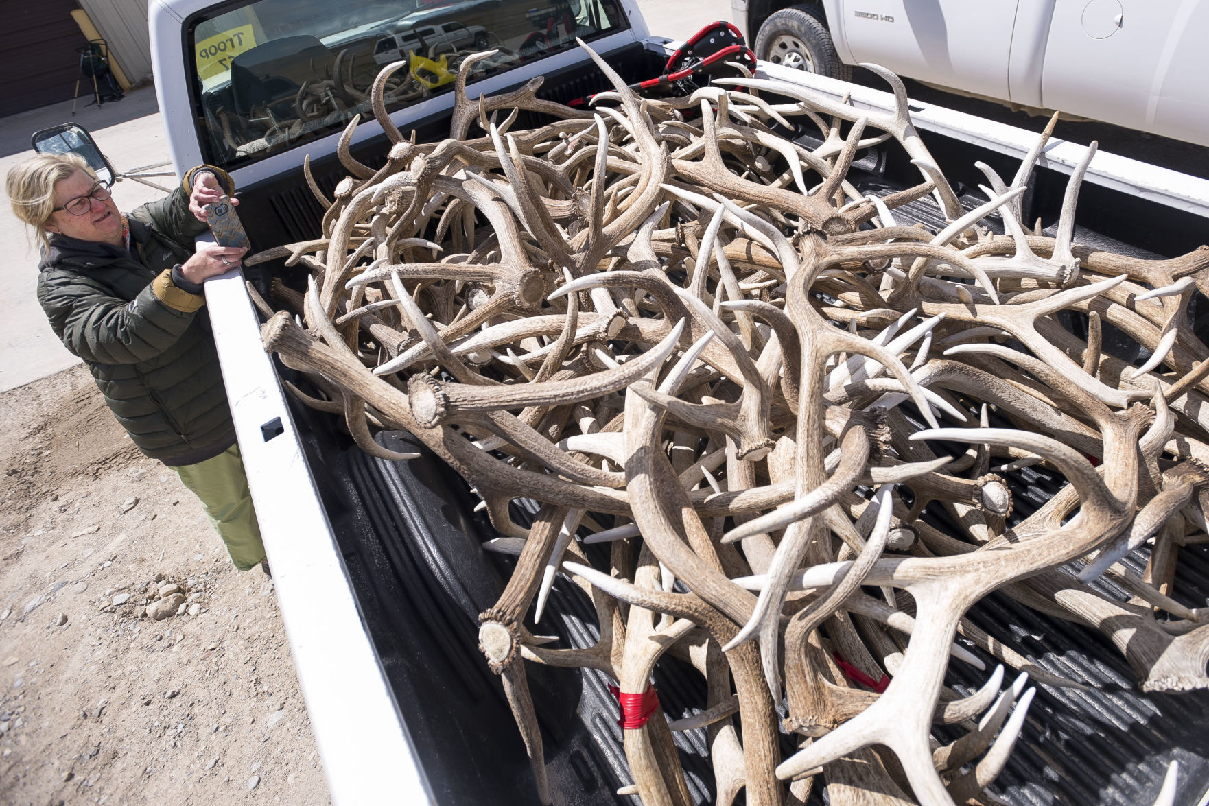 Boy Scout antler pickup